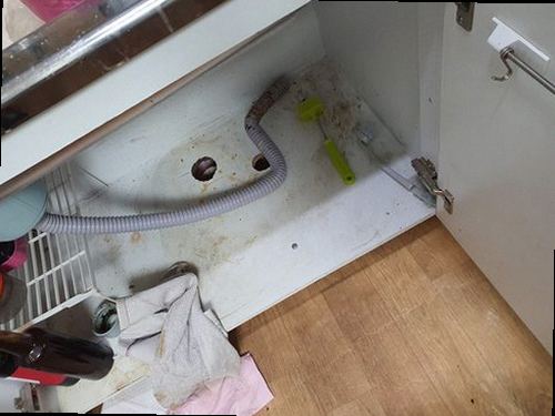 관악구 하수구막힘 보라매동 하수구막힘 정화조 청소 시기 부분 처리와 전체 점검 비교